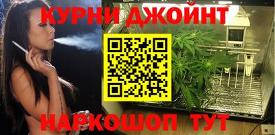 сатива Пенза