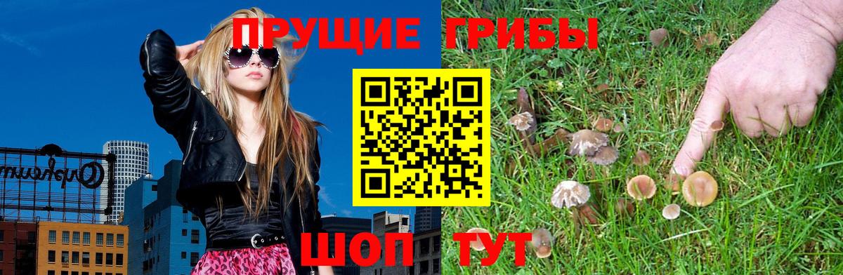 Новошахтинск  Псилоцибиновые грибы ЛСД  Псилоцибиновые грибы мухоморы  Вход с VPN 