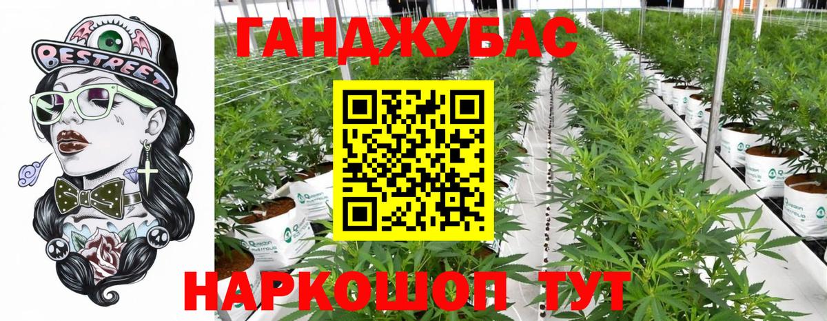Бошки марихуана планчик  Канабис план  МАРИХУАНА LSD WEED  Вход с VPN  Новошахтинск  Марихуана тримм 